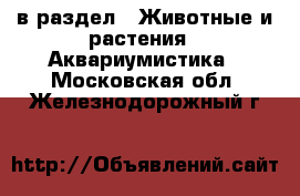  в раздел : Животные и растения » Аквариумистика . Московская обл.,Железнодорожный г.